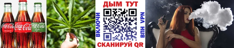 Canna-Cookies марихуана Купить где Белая Холуница