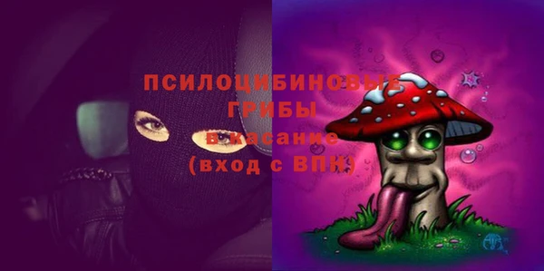 mdpv Бронницы