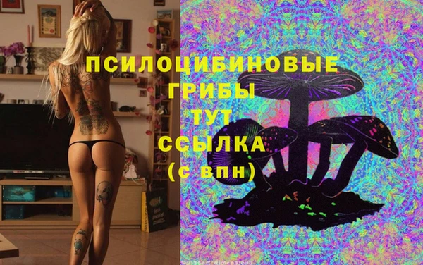 MDMA Бородино