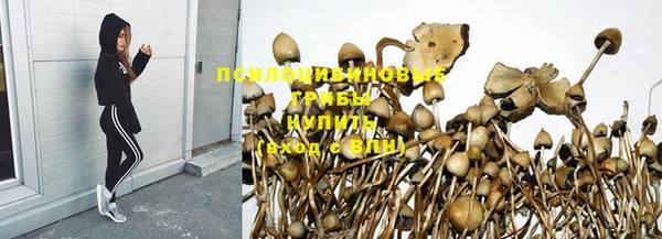 mdpv Бронницы